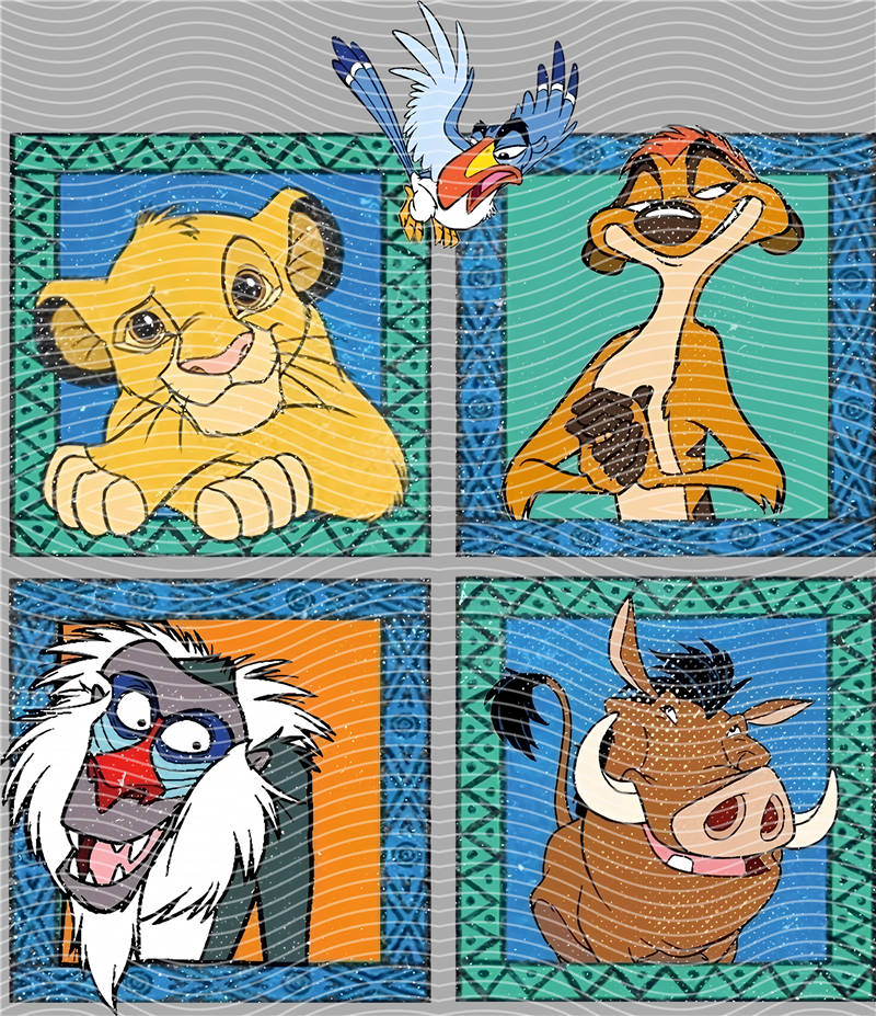 Disney-DS 500